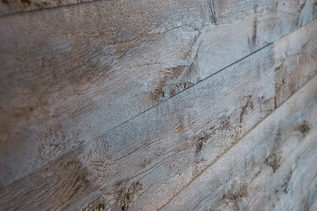 Carbonized Chopped Oak